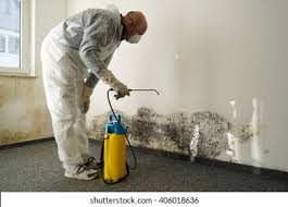 Mold Documentation for Insurance Claims in Monmouth, IL